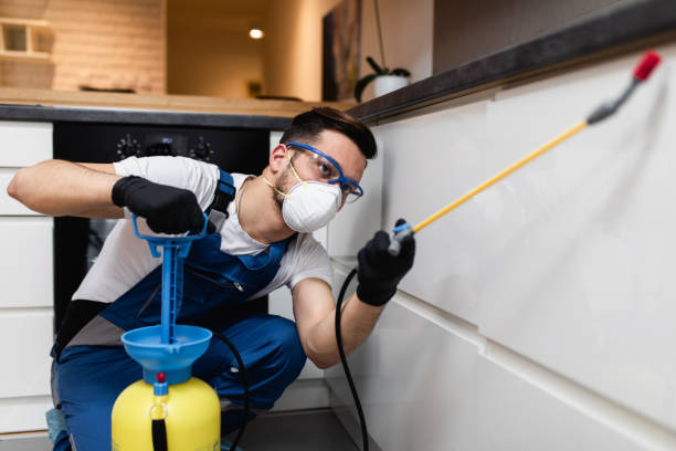 Best Best Pest Control Near Me  in Gypsum, CO