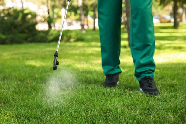 Best Residential Pest Control  in Gypsum, CO